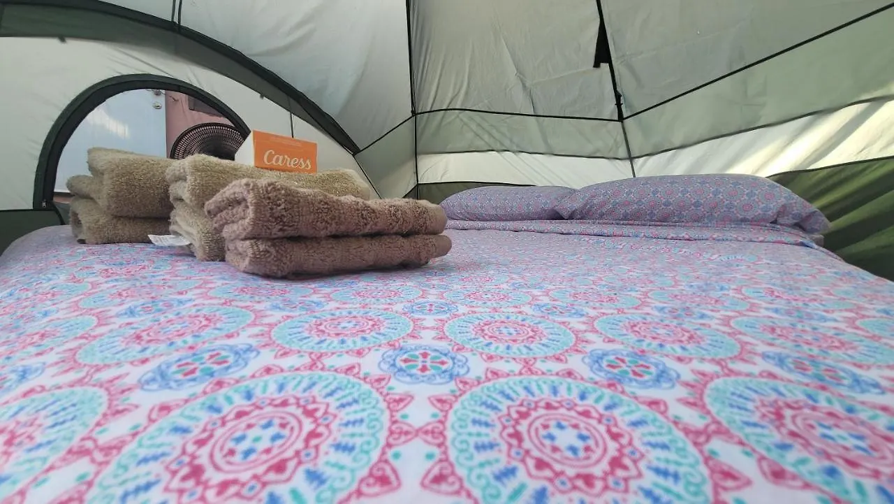 212 Bio Bay Tour Bay 5 Minutes Walk-Inhouse Campsite-Full Bed-Fan-Torch Tent'S Rental'S-Cancer'S Surgery Fundraising Cash Mercy Camp-Not A Hotel-Open Country-No Snake-Jabali Nor Bears-Ruster Tradition Meal-Bath Shared- Whatsapp For Pick Up Airport Or Puerto Rico