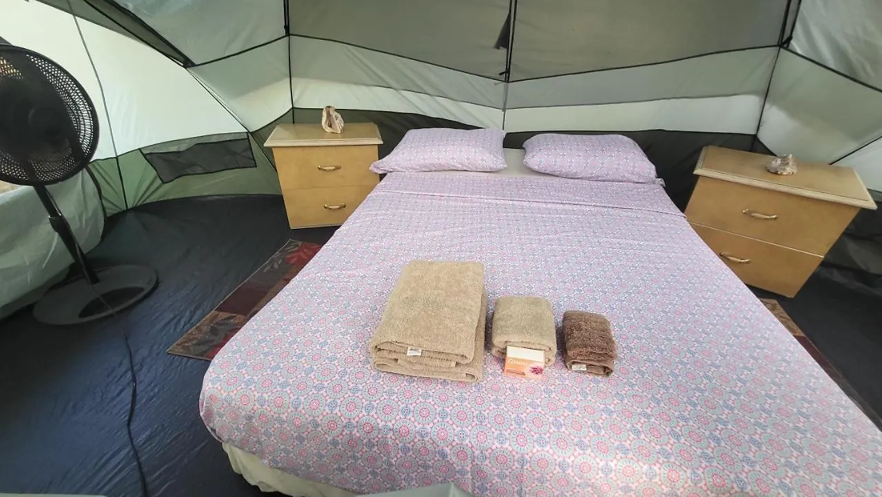 212 Bio Bay Tour Bay 5 Minutes Walk-Inhouse Campsite-Full Bed-Fan-Torch Tent'S Rental'S-Cancer'S Surgery Fundraising Cash Mercy Camp-Not A Hotel-Open Country-No Snake-Jabali Nor Bears-Ruster Tradition Meal-Bath Shared- Whatsapp For Pick Up Airport Or 0*, Vieques Puerto Rico