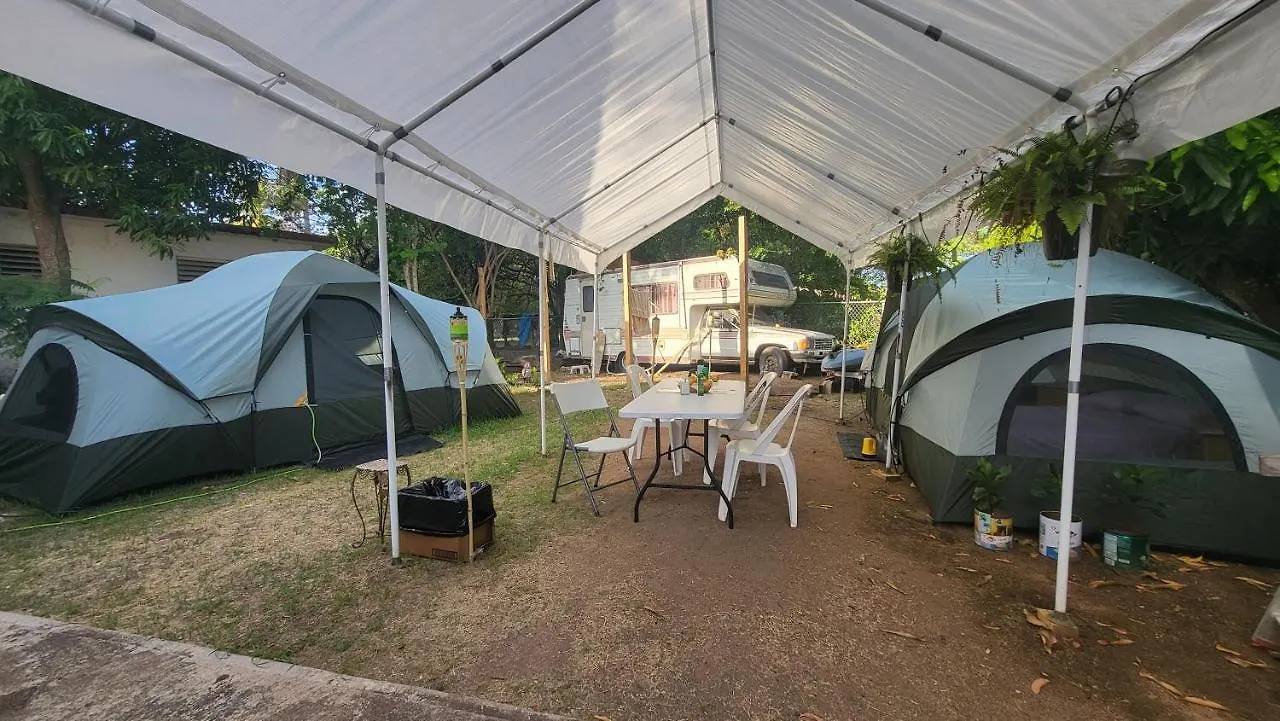 212 Bio Bay Tour Bay 5 Minutes Walk-Inhouse Campsite-Full Bed-Fan-Torch Tent\'S Rental\'S-Cancer\'S Surgery Fundraising Cash Mercy Camp-Not A Hotel-Open Country-No Snake-Jabali Nor Bears-Ruster Tradition Meal-Bath Shared- Whatsapp For Pick Up Airport Or location